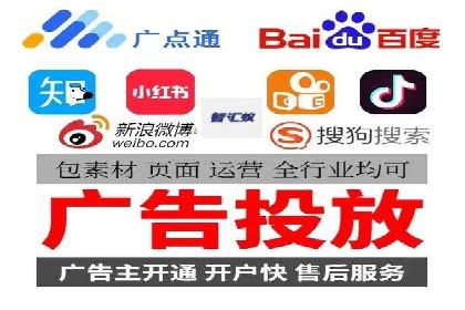 某电商平台的SEM推广实践与效果展示